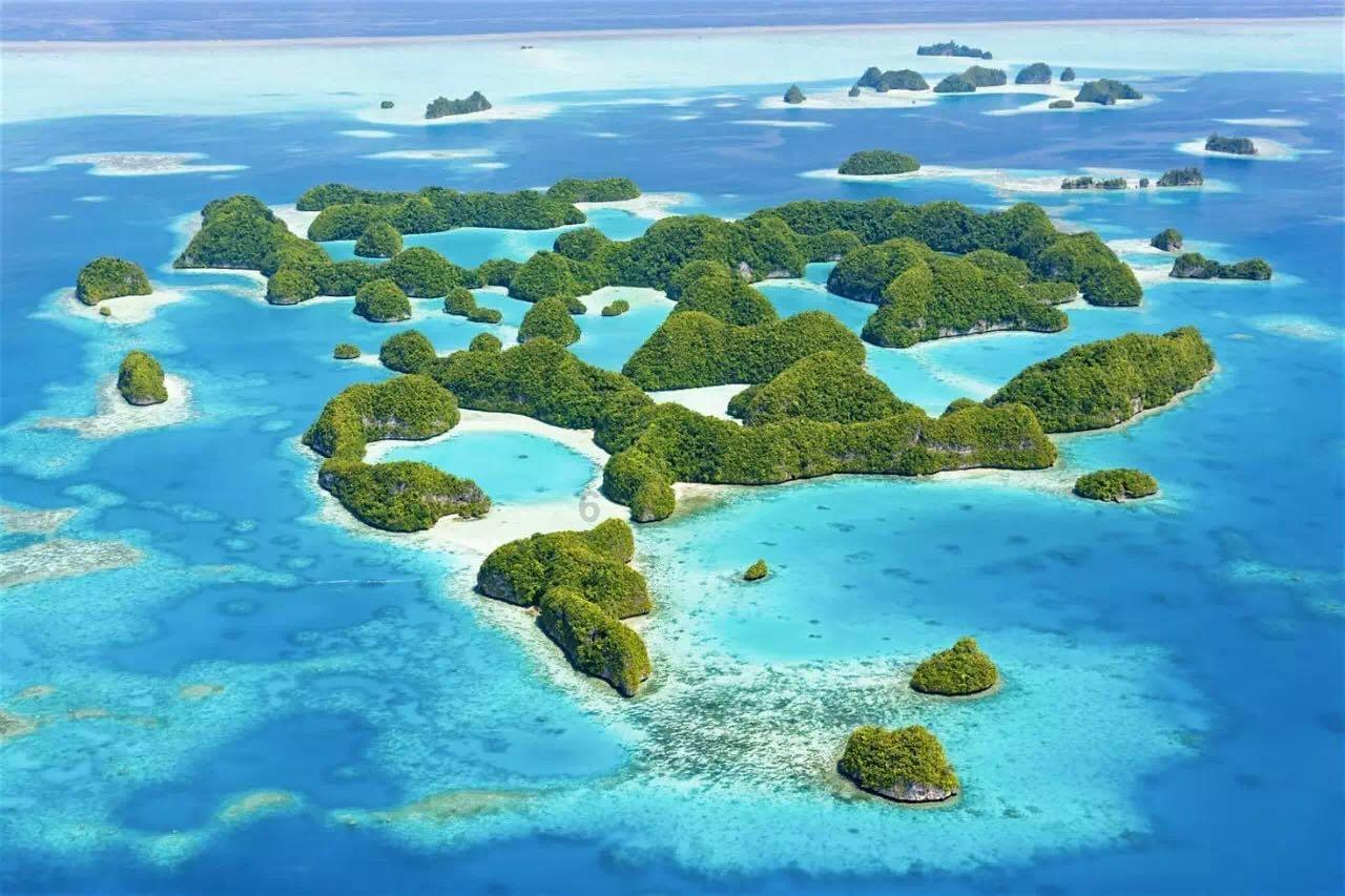 救援外星小怪
