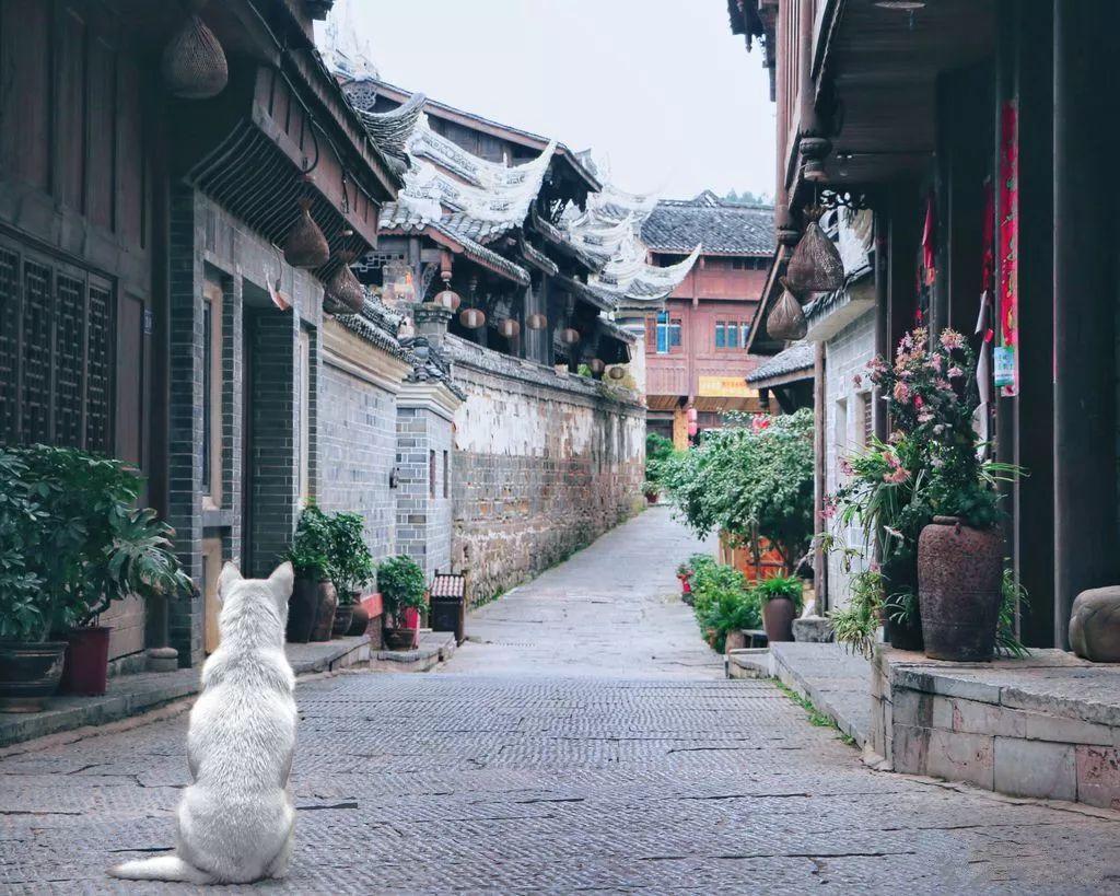 笑脸球的冒险之旅